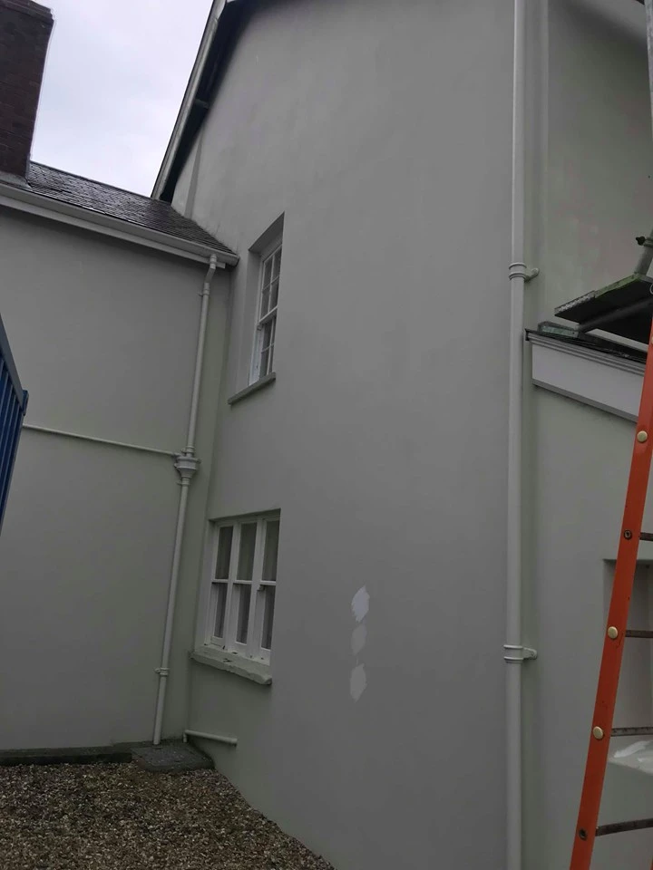 Side view of gray house exterior with white windows, downpipes and partial view of orange ladder